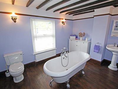 Picture 15